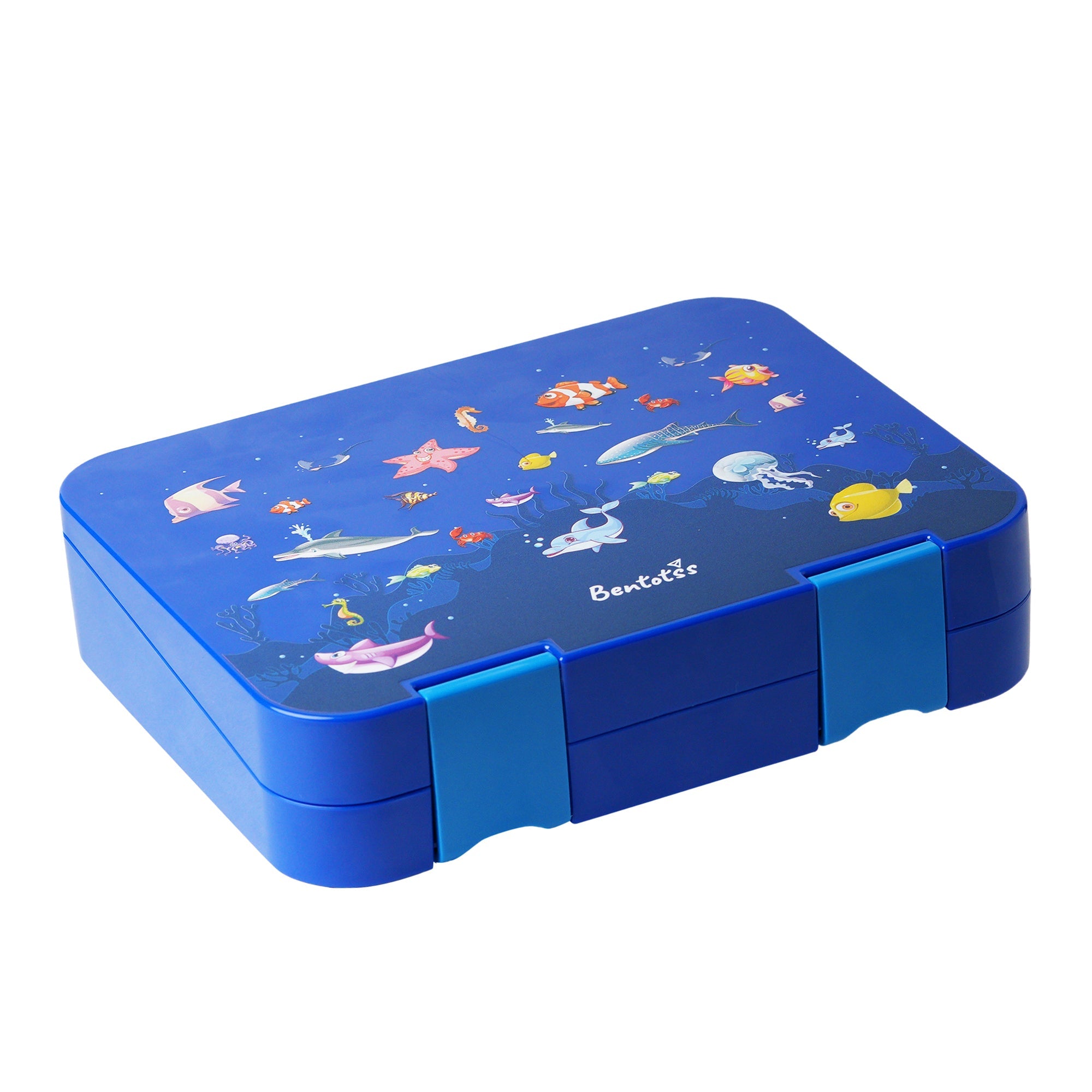 Kids Bento Lunch Box