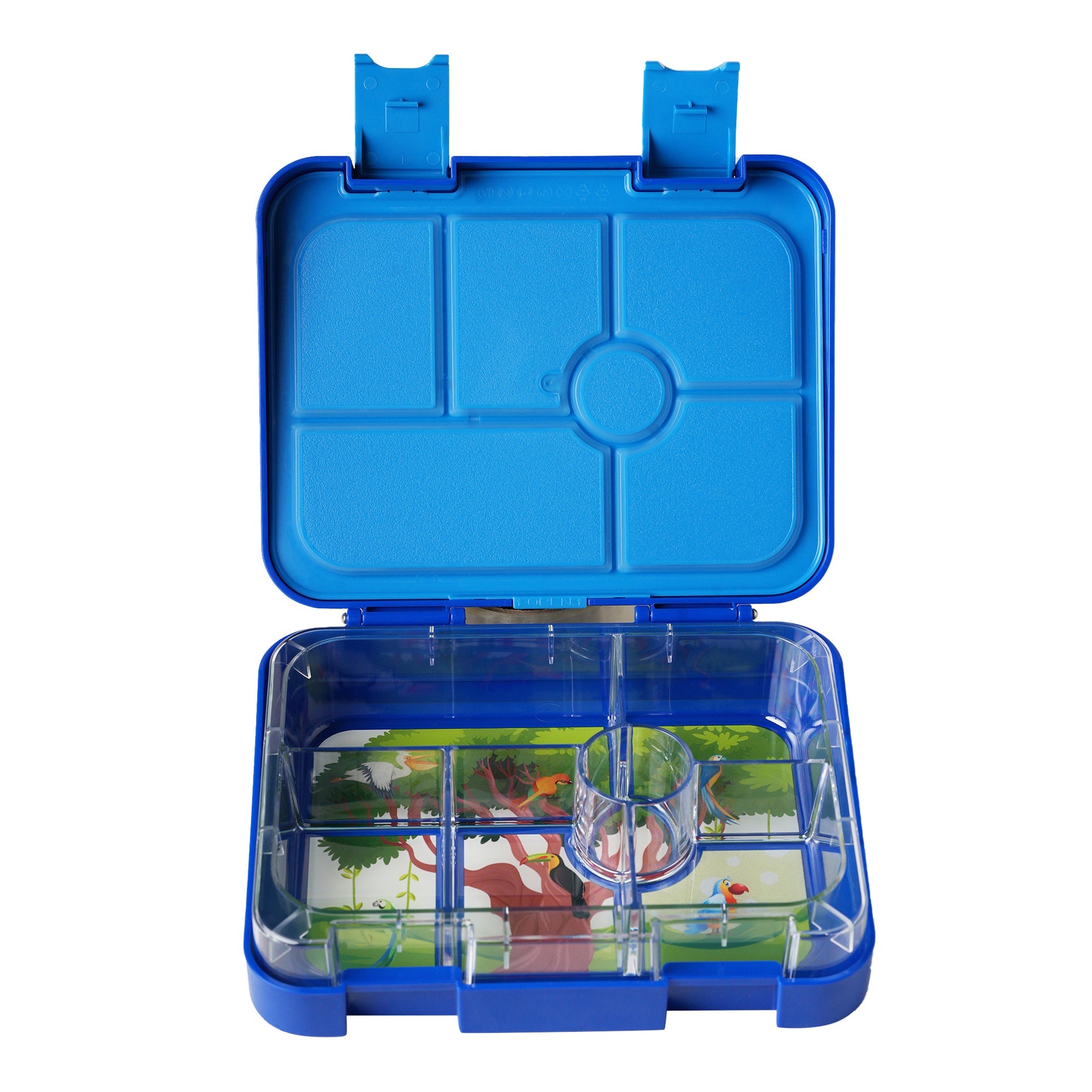 Bento Lunch Box for Adults